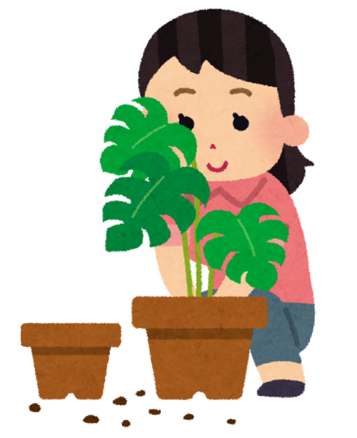 観葉植物フェイクグリーンの捨て方は 土や植木鉢は別々に処分しよう ゴミの出し方abc 大阪市版